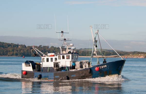 Versatile Netter/potter