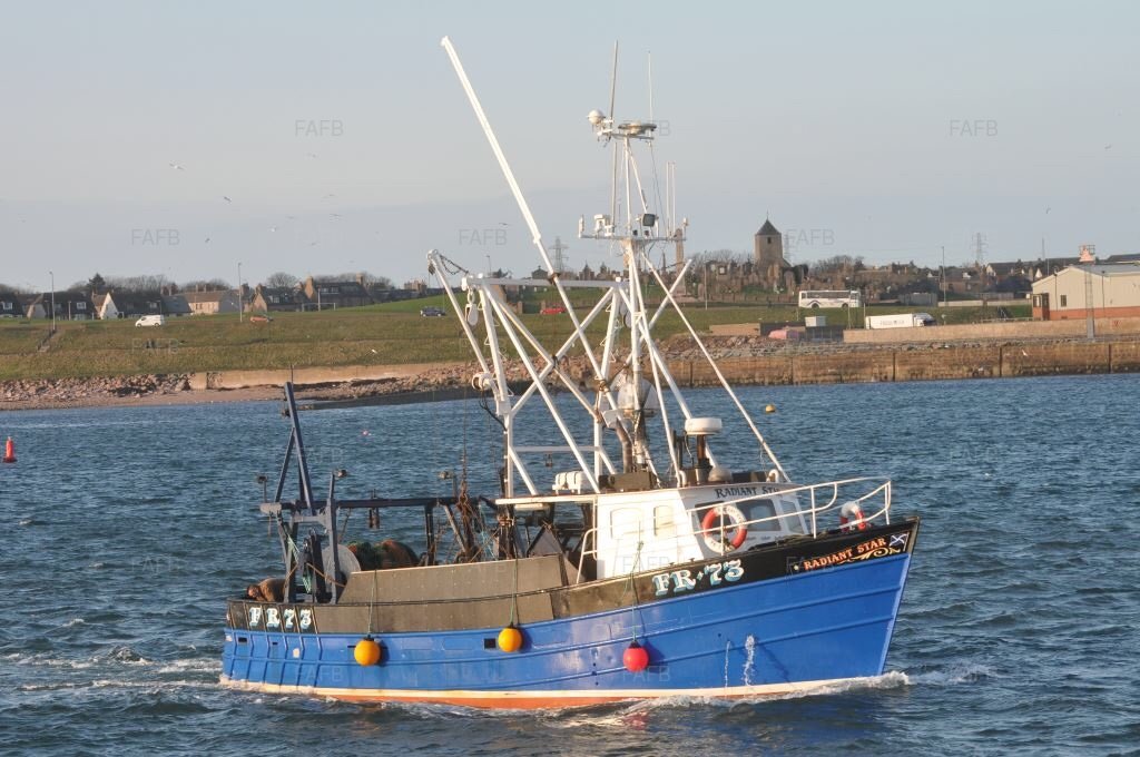 Large picture for advert 101384