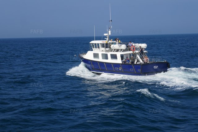 Large picture for advert 103534