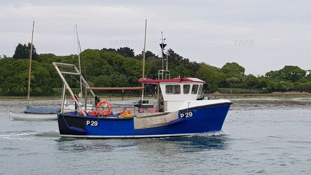 Large picture for advert 103334