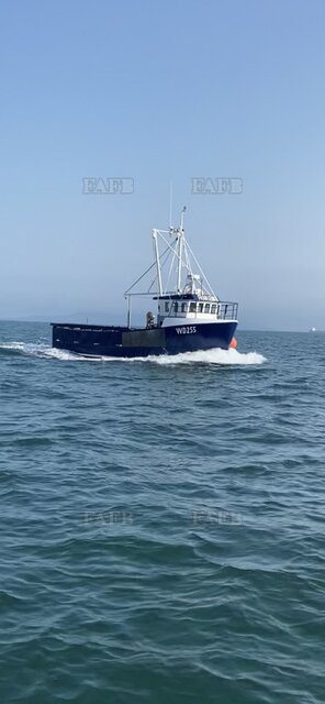 Large picture for advert 121084