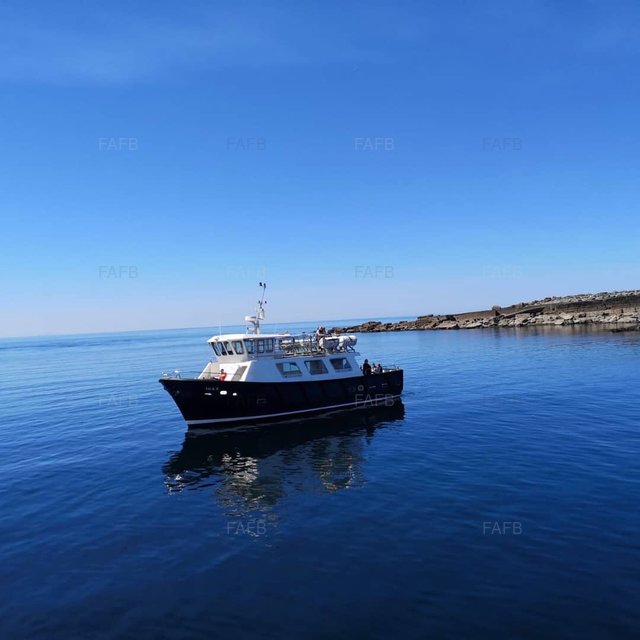 Large picture for advert 103534