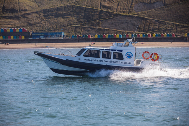 Large picture for advert 126884