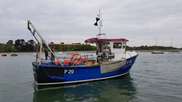 Large picture for advert 103334
