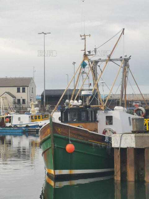 Large picture for advert 124434