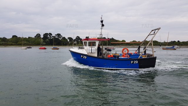 Large picture for advert 103334