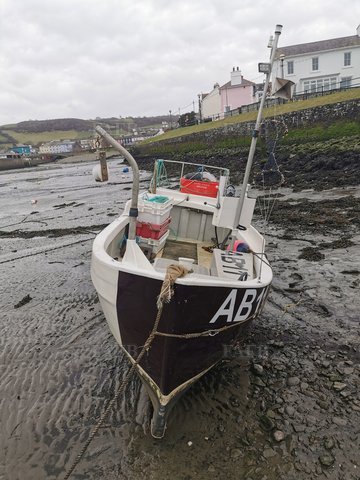 Main picture for advert 110084