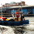 Extra picture for advert 97184