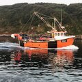 Extra picture for advert 129234