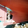Extra picture for advert 97184