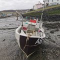 Extra picture for advert 110084
