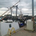 Extra picture for advert 124434