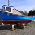 Extra picture for advert 116234