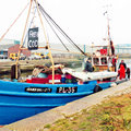 Extra picture for advert 97184