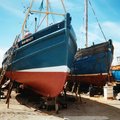 Extra picture for advert 97184