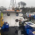 Extra picture for advert 129234